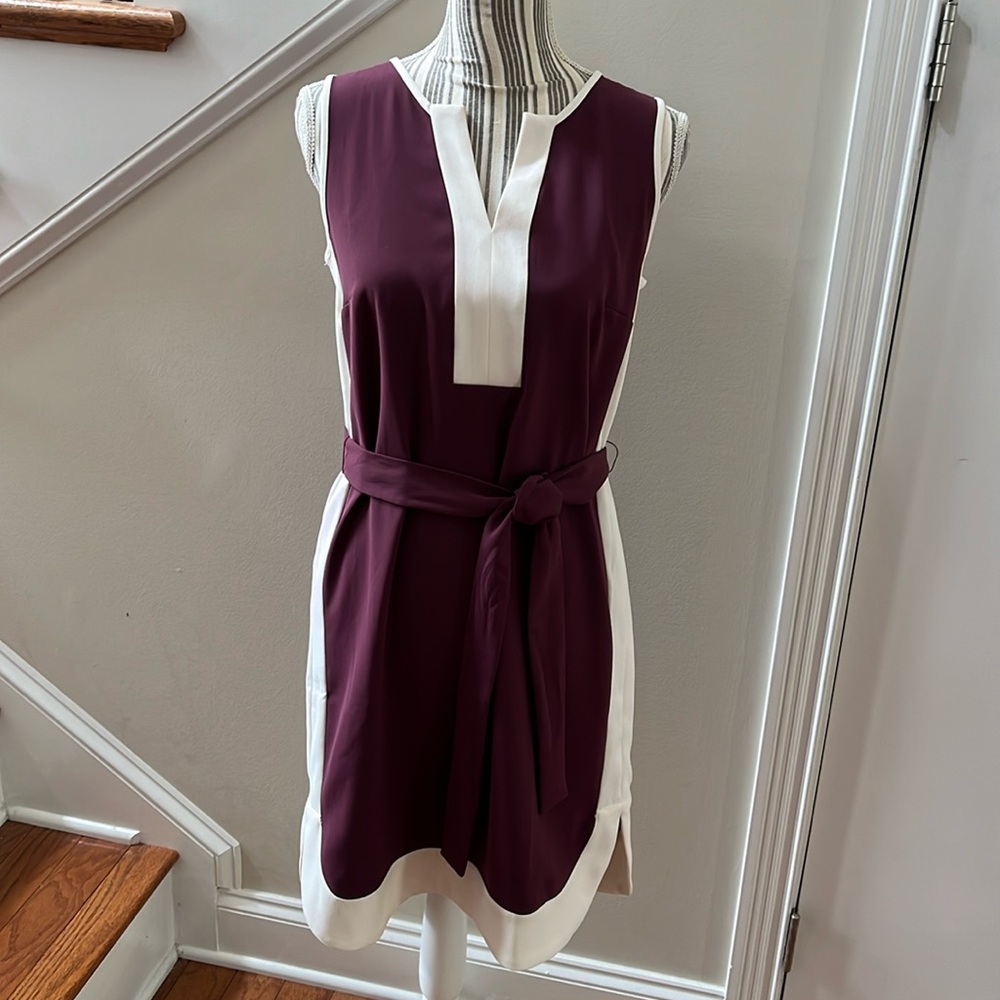 🎈ANN TAYLOR BELTED SHIFT